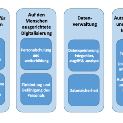 Auswertung Digital Maturity Assessment