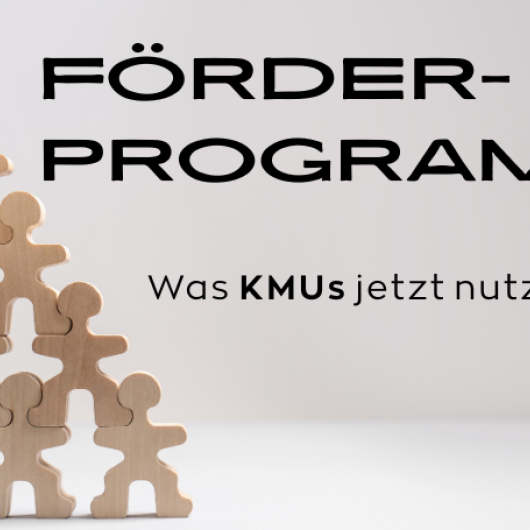 Schwarzer Text (Förderprogramme) auf hellem Hintergrund, links eine Pyramide aus Holzmännchen