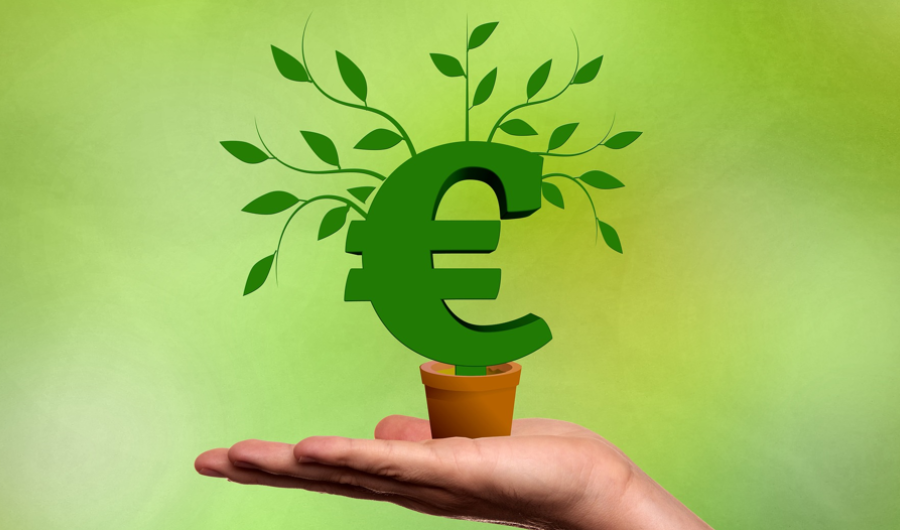 Auf flacher Hand steht ein kleiner Blumentopf aus dem ein grünes Euro-Zeichen wächst mit Blättern