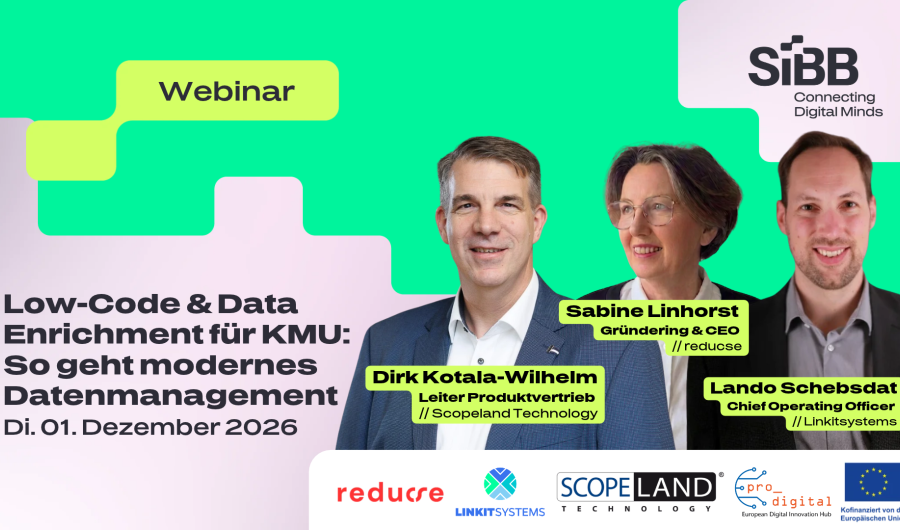 Flyer zur Veranstaltung - Data Enrichment & Low-Code