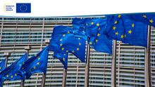 mehrere Europafahnen wehen vor einem Gebäude