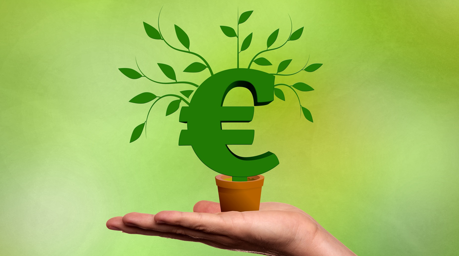Auf flacher Hand steht ein kleiner Blumentopf aus dem ein grünes Euro-Zeichen wächst mit Blättern