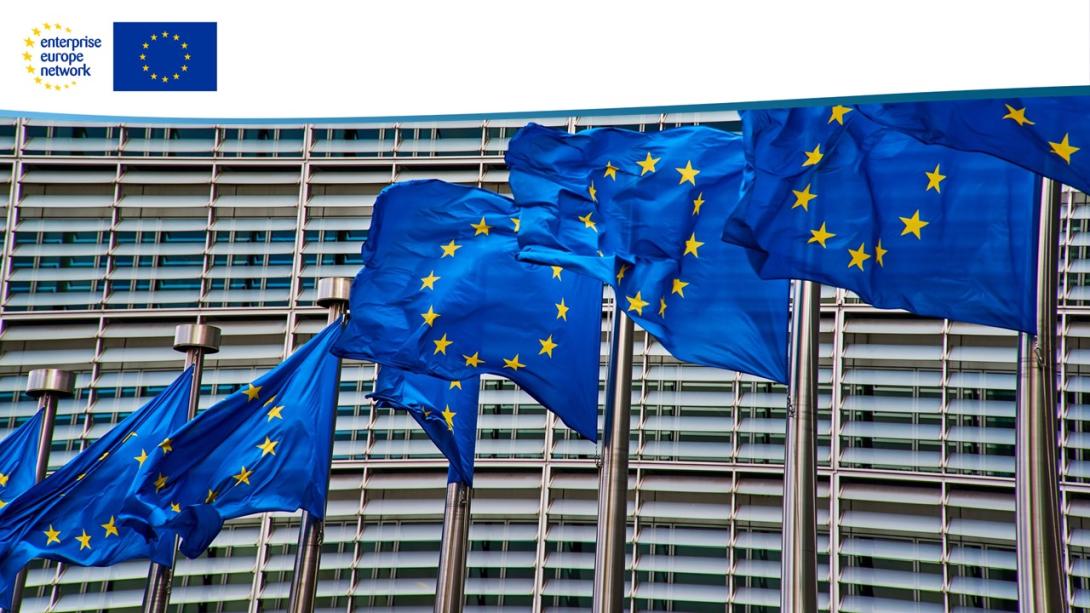 mehrere Europafahnen wehen vor einem Gebäude