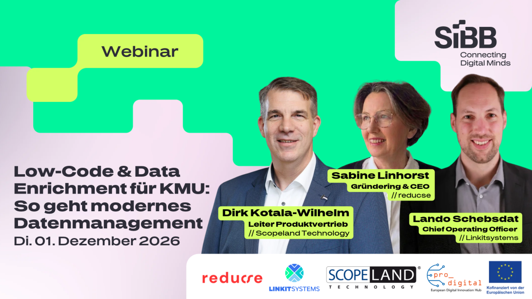 Flyer zur Veranstaltung - Data Enrichment & Low-Code